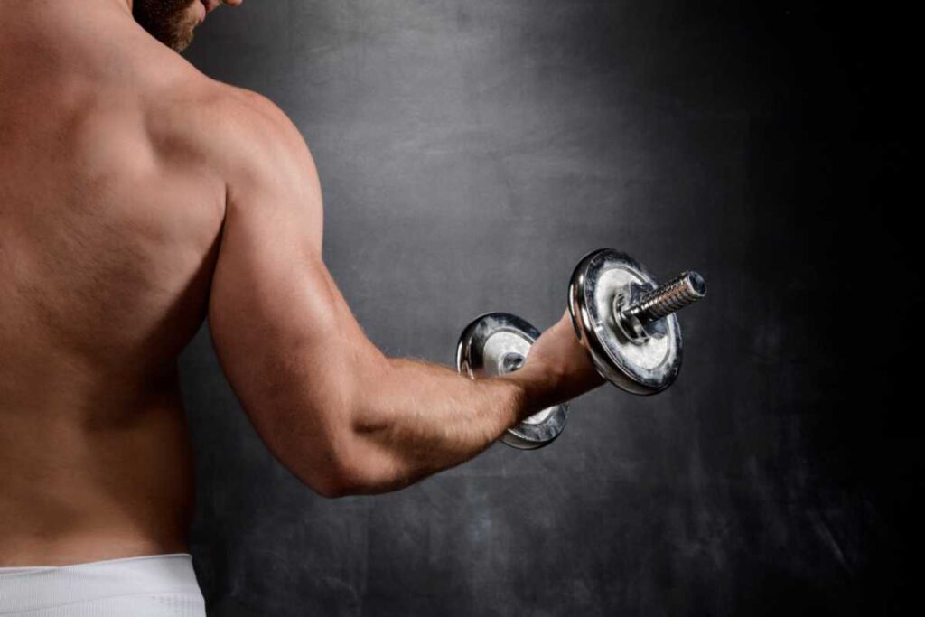Da força muscular à melhora do desempenho cognitivo: quais os benefícios da creatina? Da força muscular à melhora do desempenho cognitivo: quais os benefícios da creatina